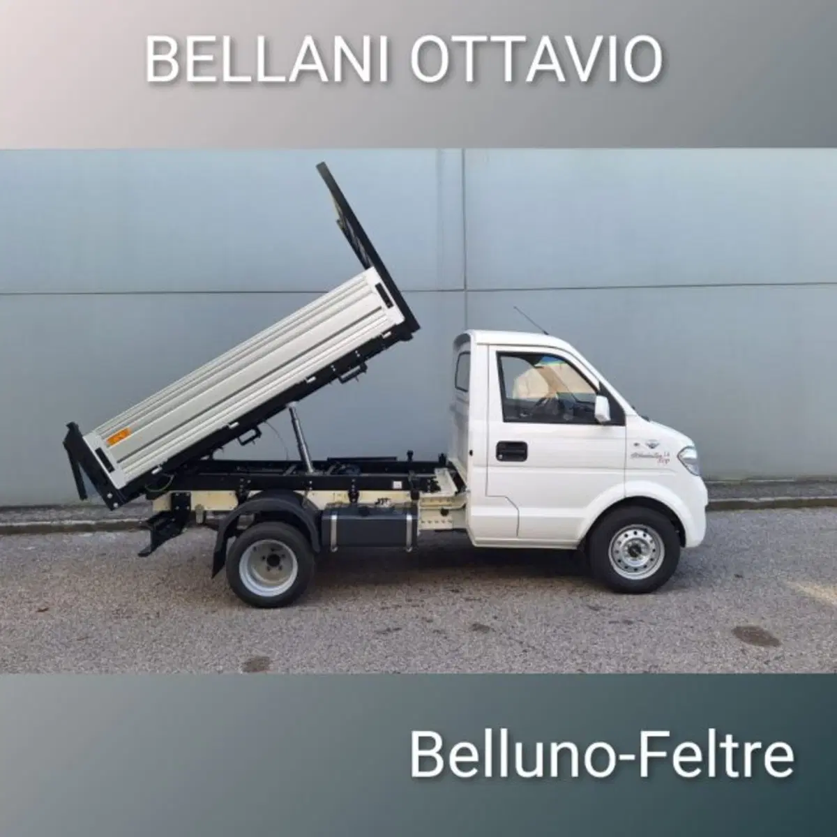 Giotti Victoria Gladiator nuova a Belluno (7)