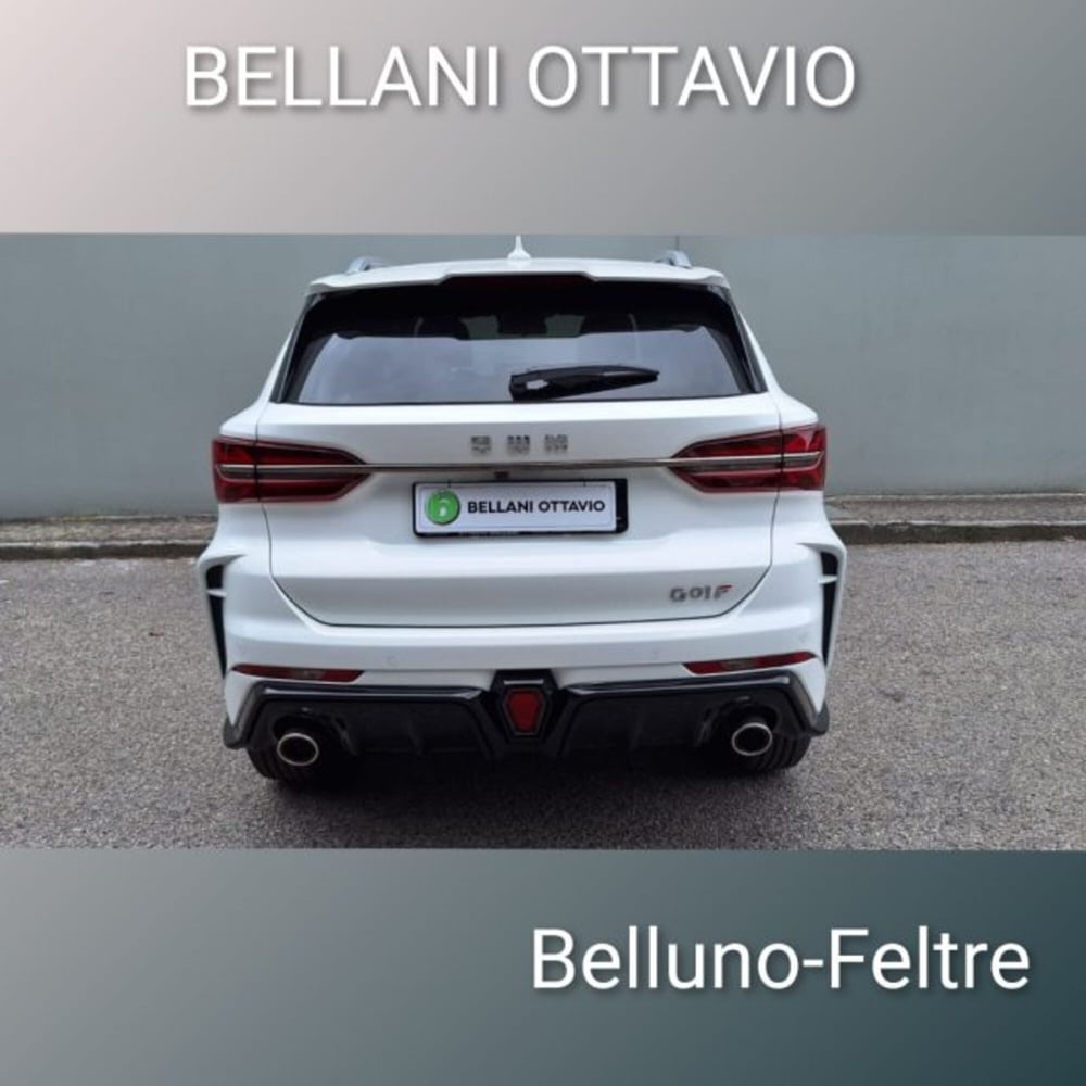 SWM G01F nuova a Belluno (5)