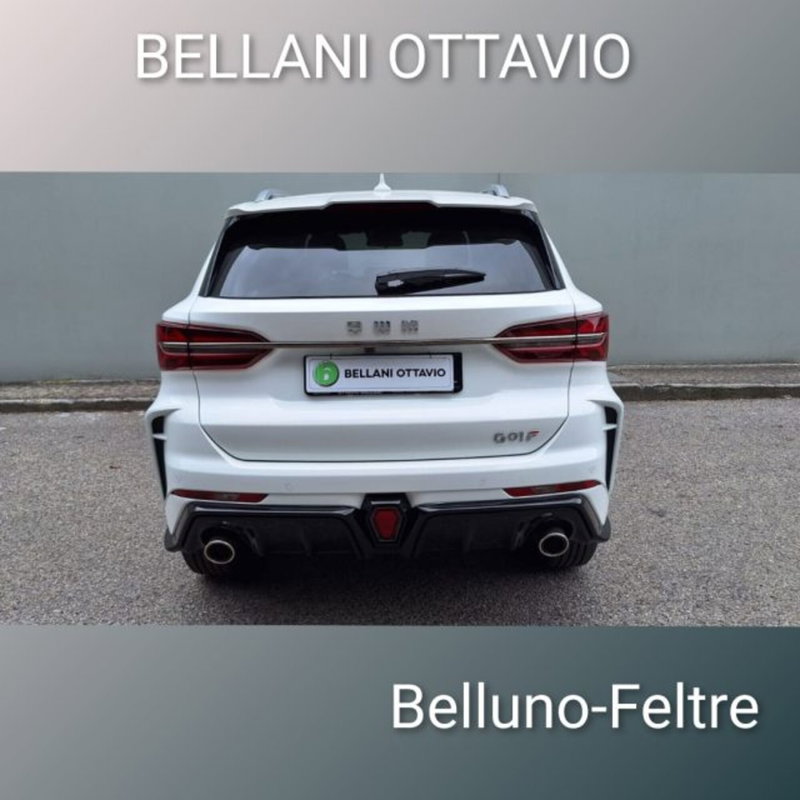 SWM G01F nuova a Belluno (5)