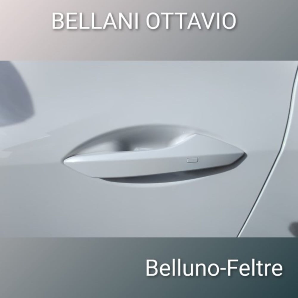 Dfsk Glory 600  nuova a Belluno (7)