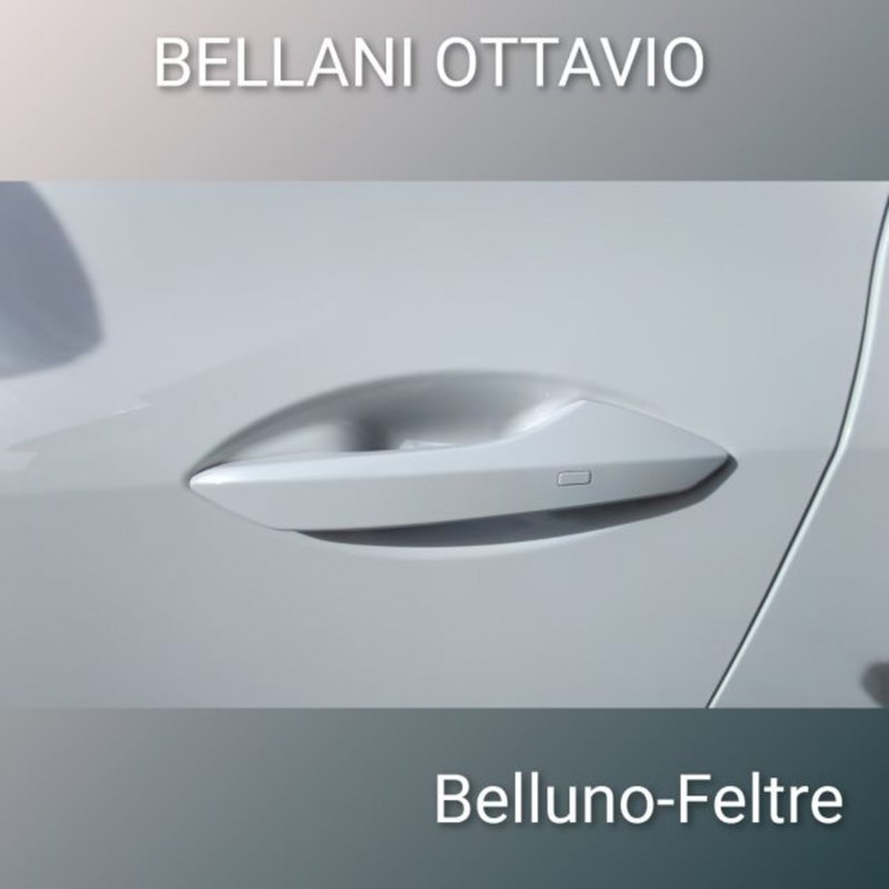 Dfsk Glory 600  nuova a Belluno (7)