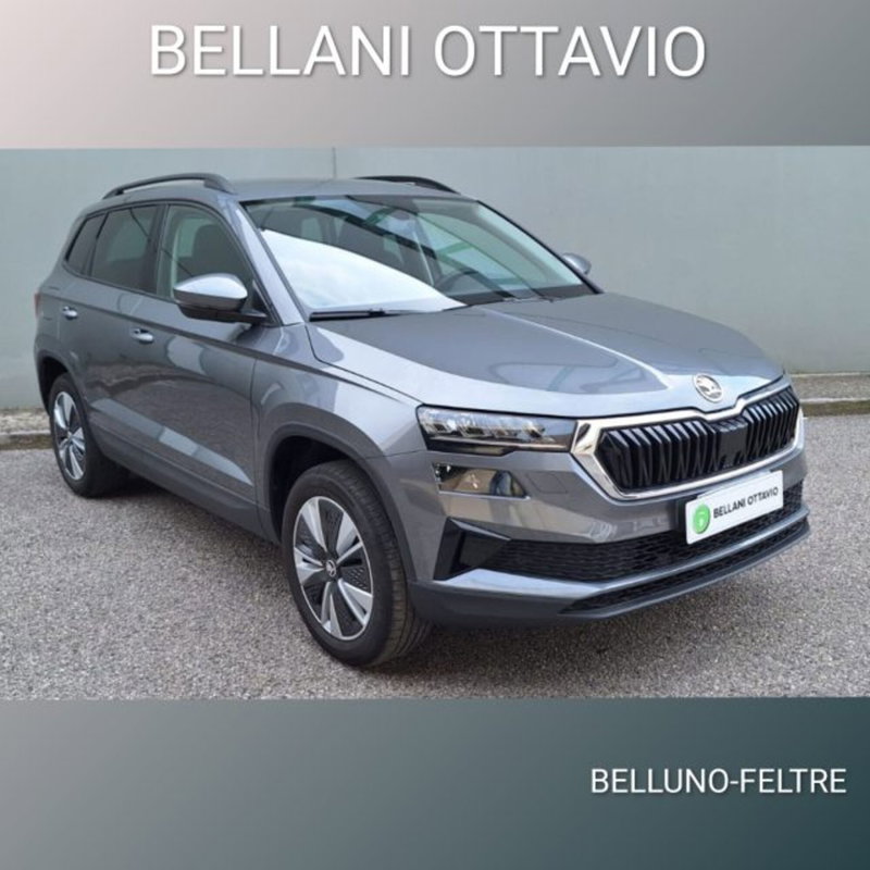 Skoda Karoq usata a Belluno