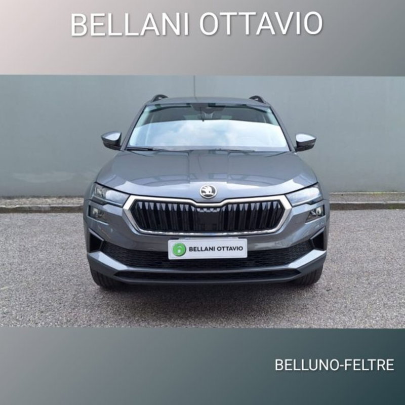 Skoda Karoq usata a Belluno (2)