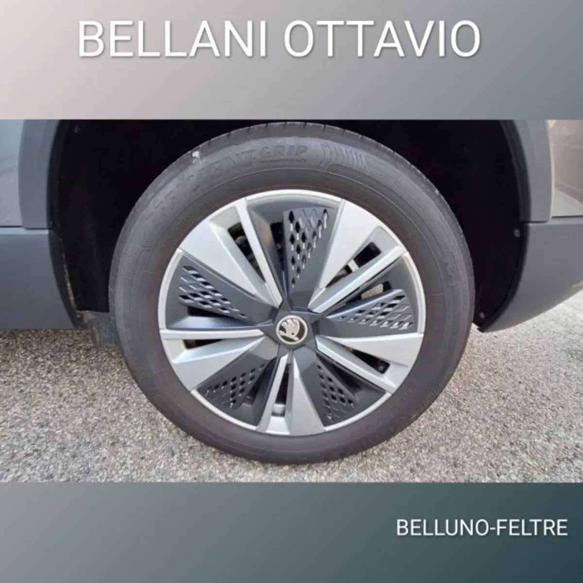 Skoda Karoq usata a Belluno (7)