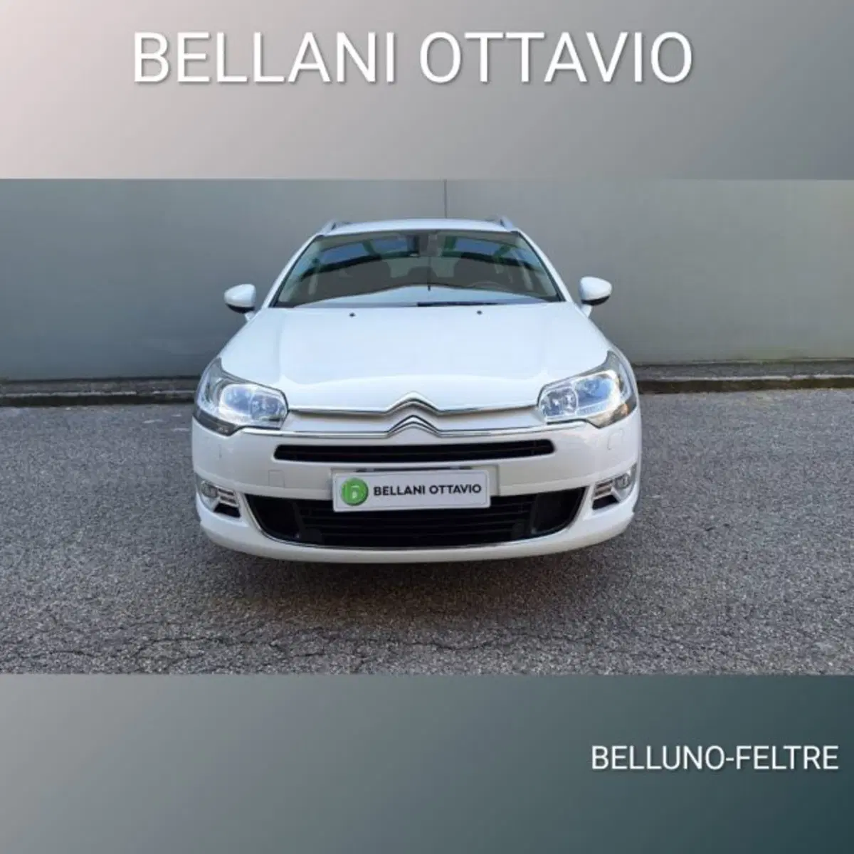 Citroen C5 Station Wagon usata a Belluno (2)
