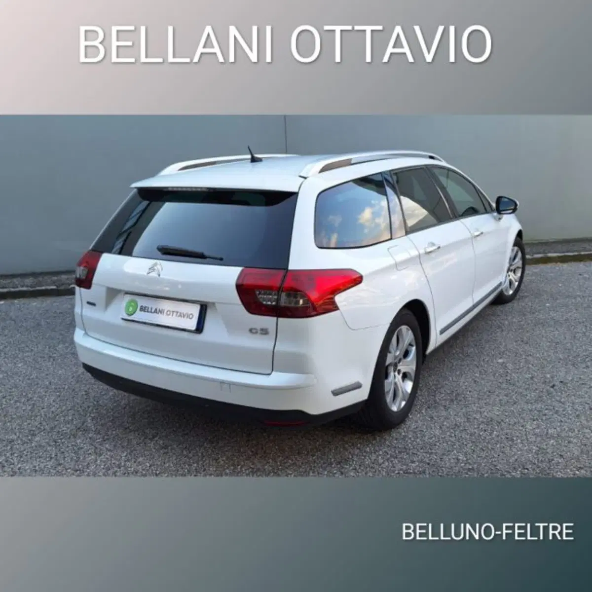 Citroen C5 Station Wagon usata a Belluno (6)