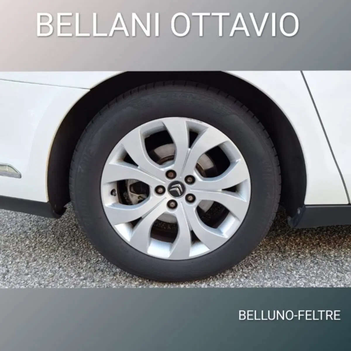 Citroen C5 Station Wagon usata a Belluno (7)