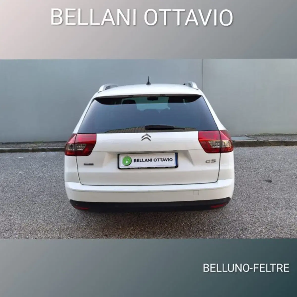 Citroen C5 Station Wagon usata a Belluno (8)