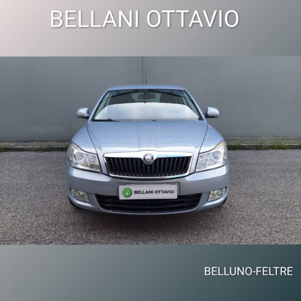 Skoda Octavia usata a Belluno (2)