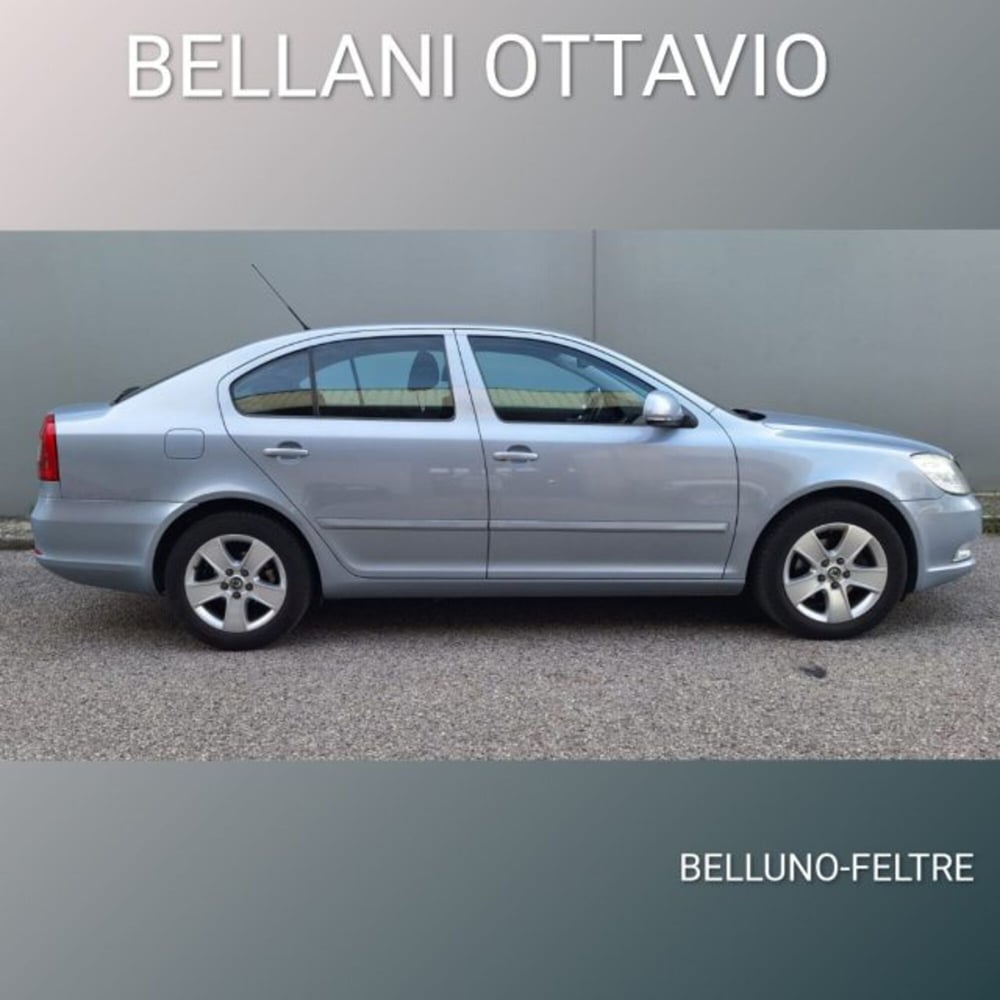 Skoda Octavia usata a Belluno (3)