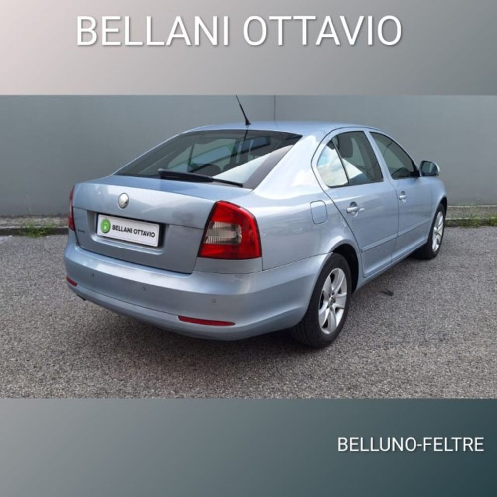 Skoda Octavia usata a Belluno (4)