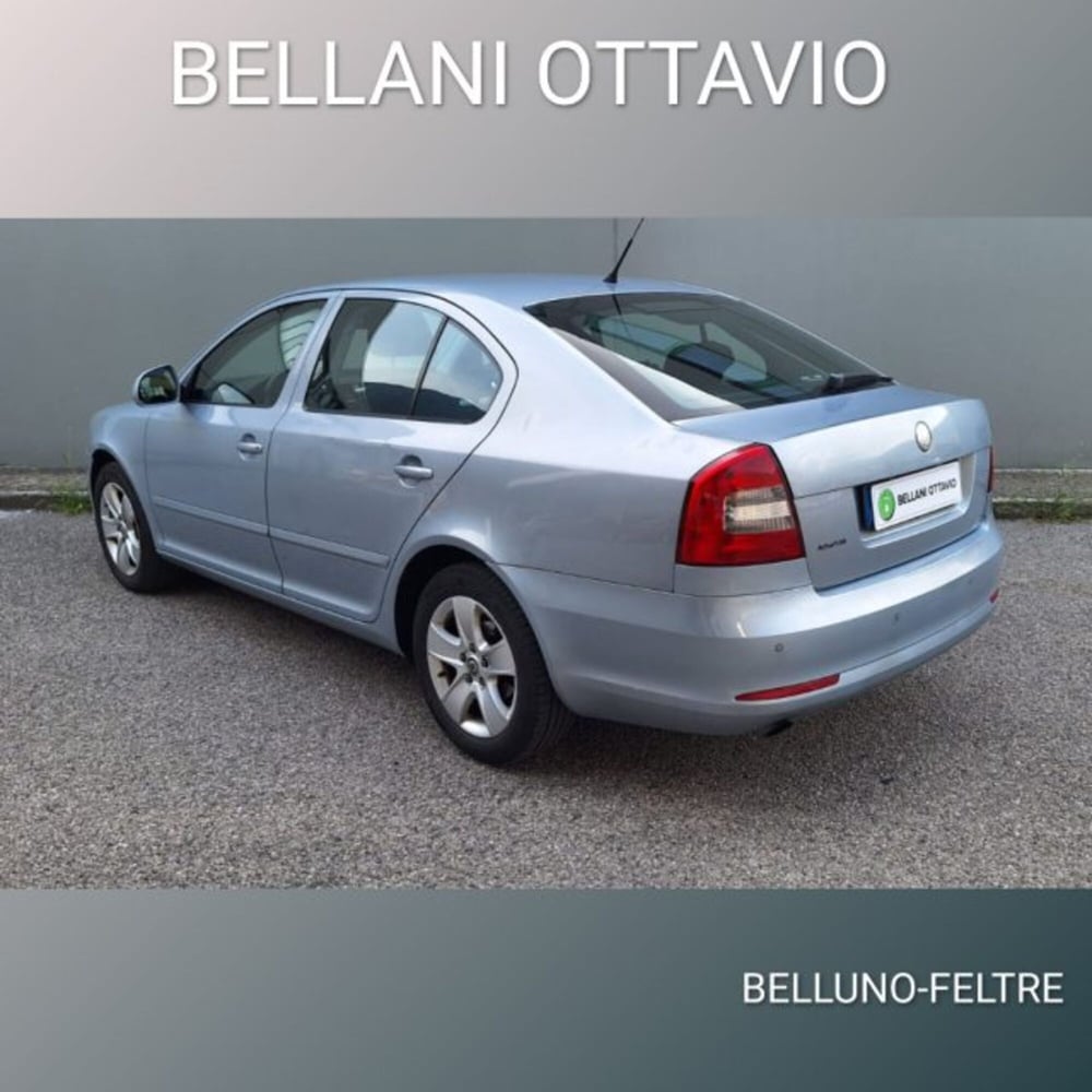 Skoda Octavia usata a Belluno (6)