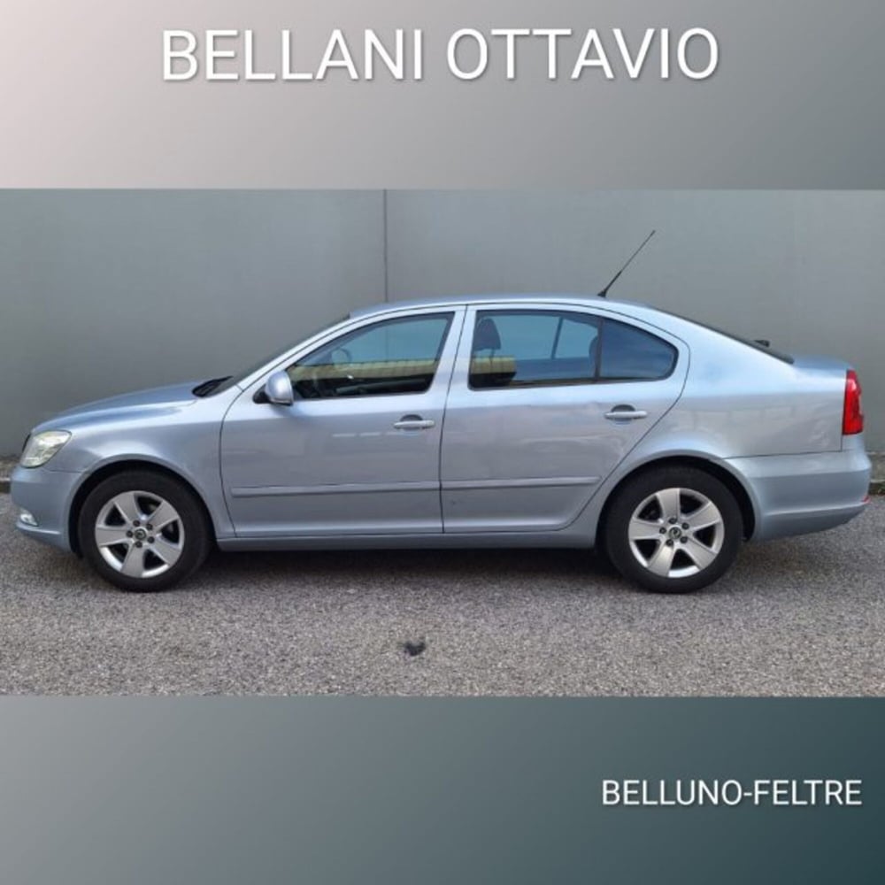 Skoda Octavia usata a Belluno (7)