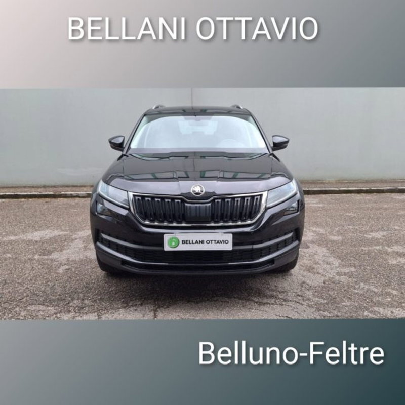 Skoda Kodiaq usata a Belluno (2)
