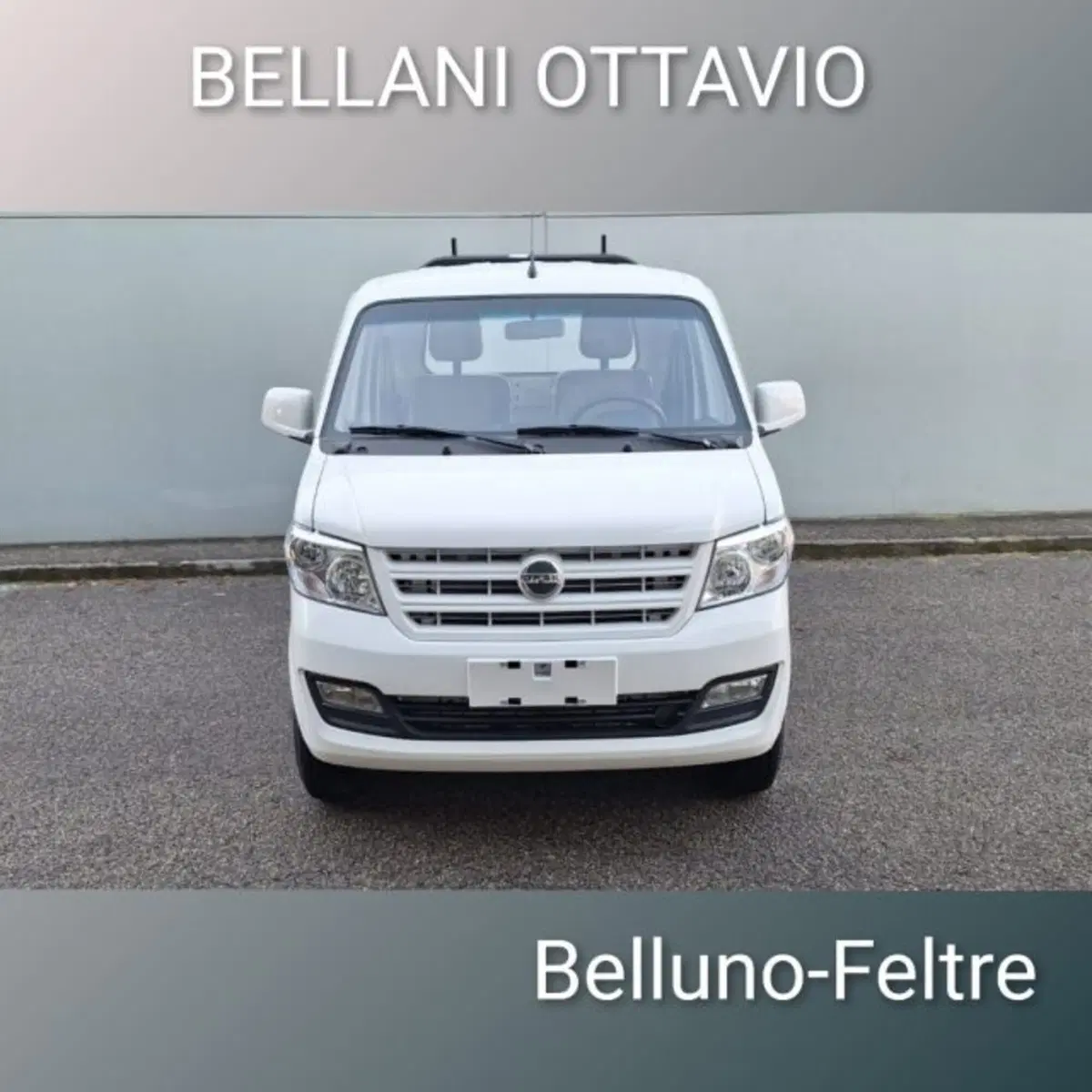 Giotti Victoria Gladiator nuova a Belluno (2)