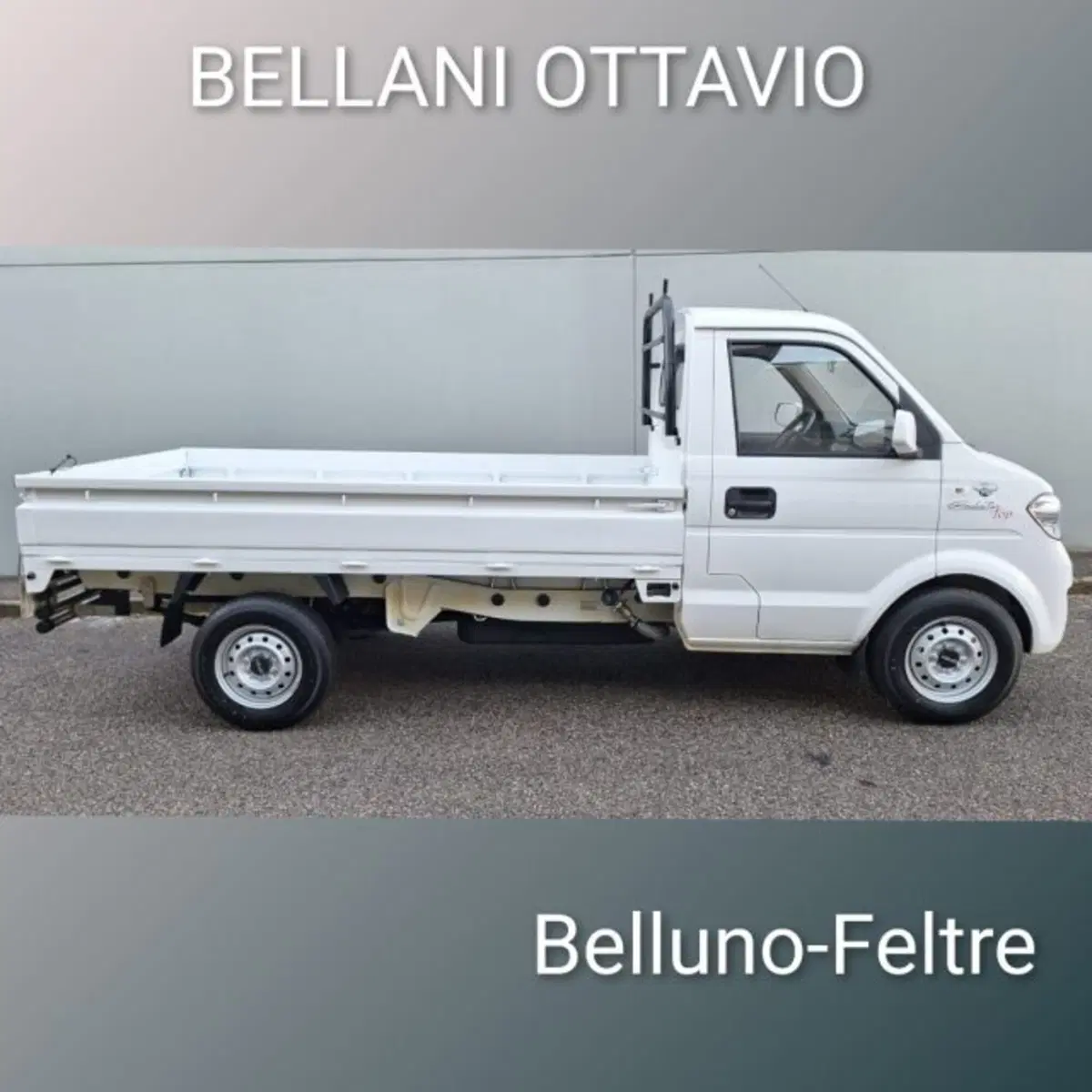 Giotti Victoria Gladiator nuova a Belluno (3)