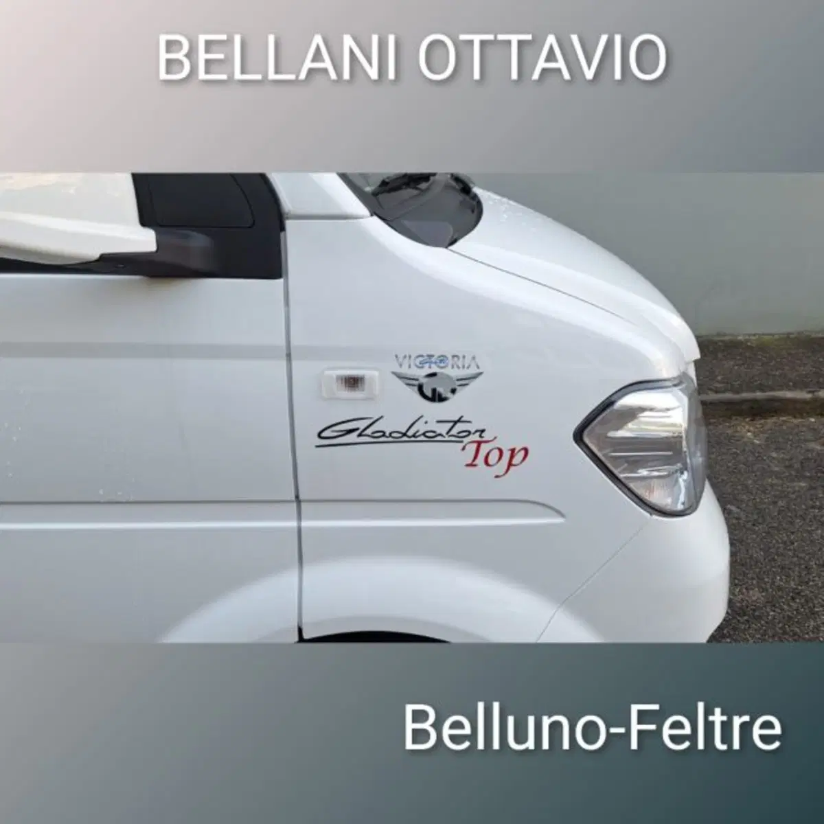 Giotti Victoria Gladiator nuova a Belluno (4)