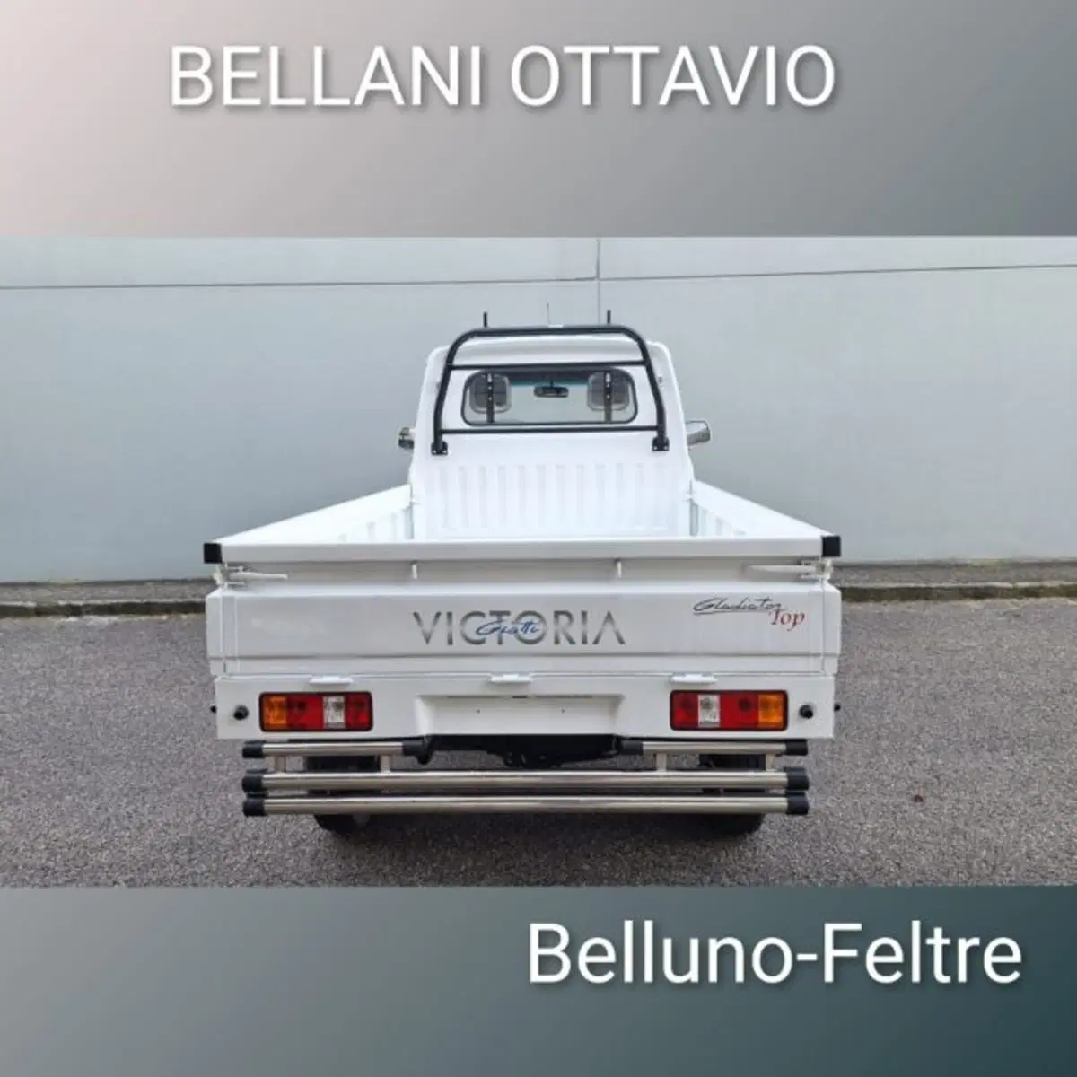 Giotti Victoria Gladiator nuova a Belluno (5)