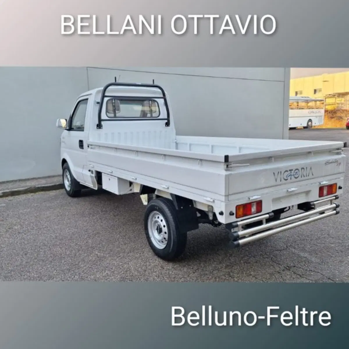 Giotti Victoria Gladiator nuova a Belluno (6)