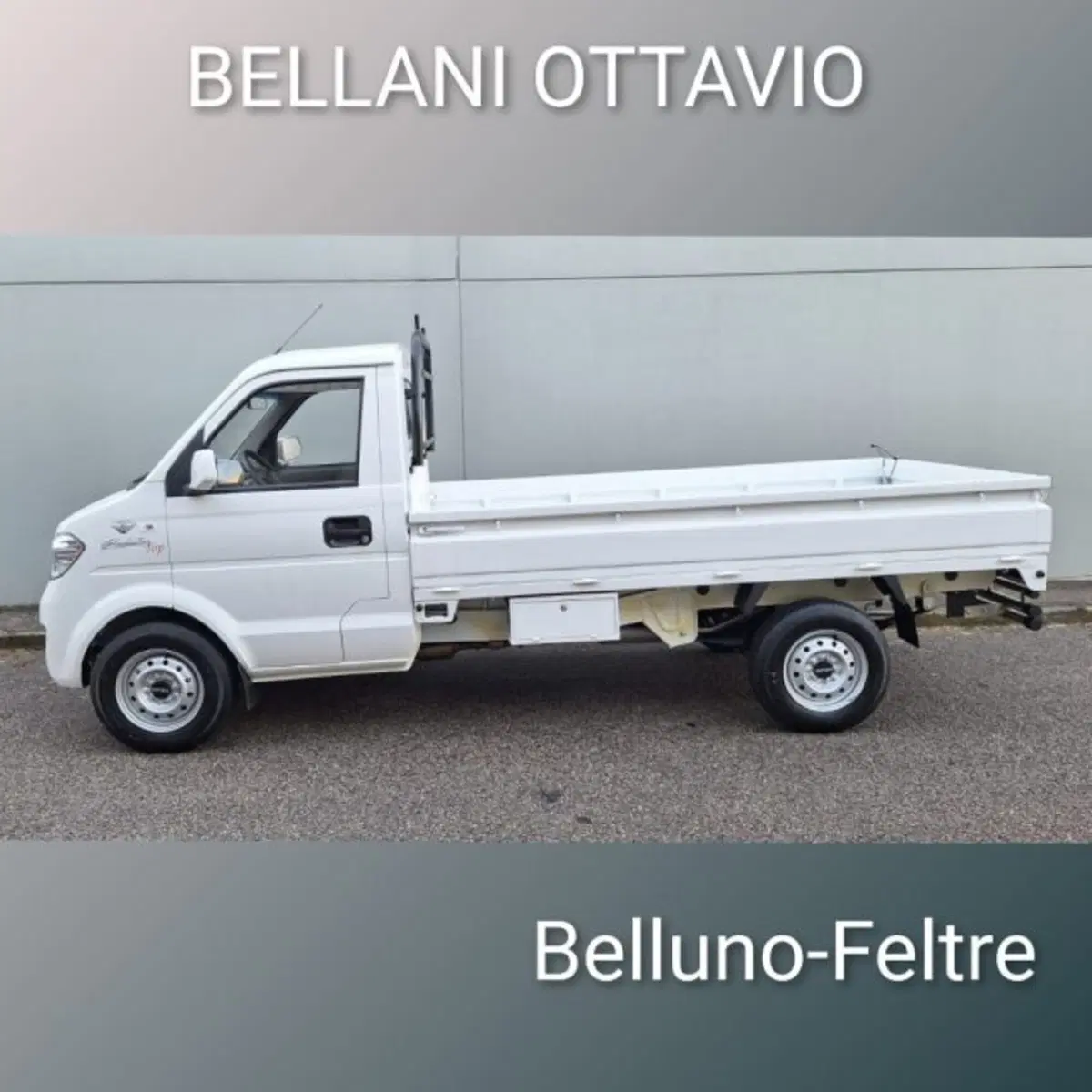 Giotti Victoria Gladiator nuova a Belluno (7)