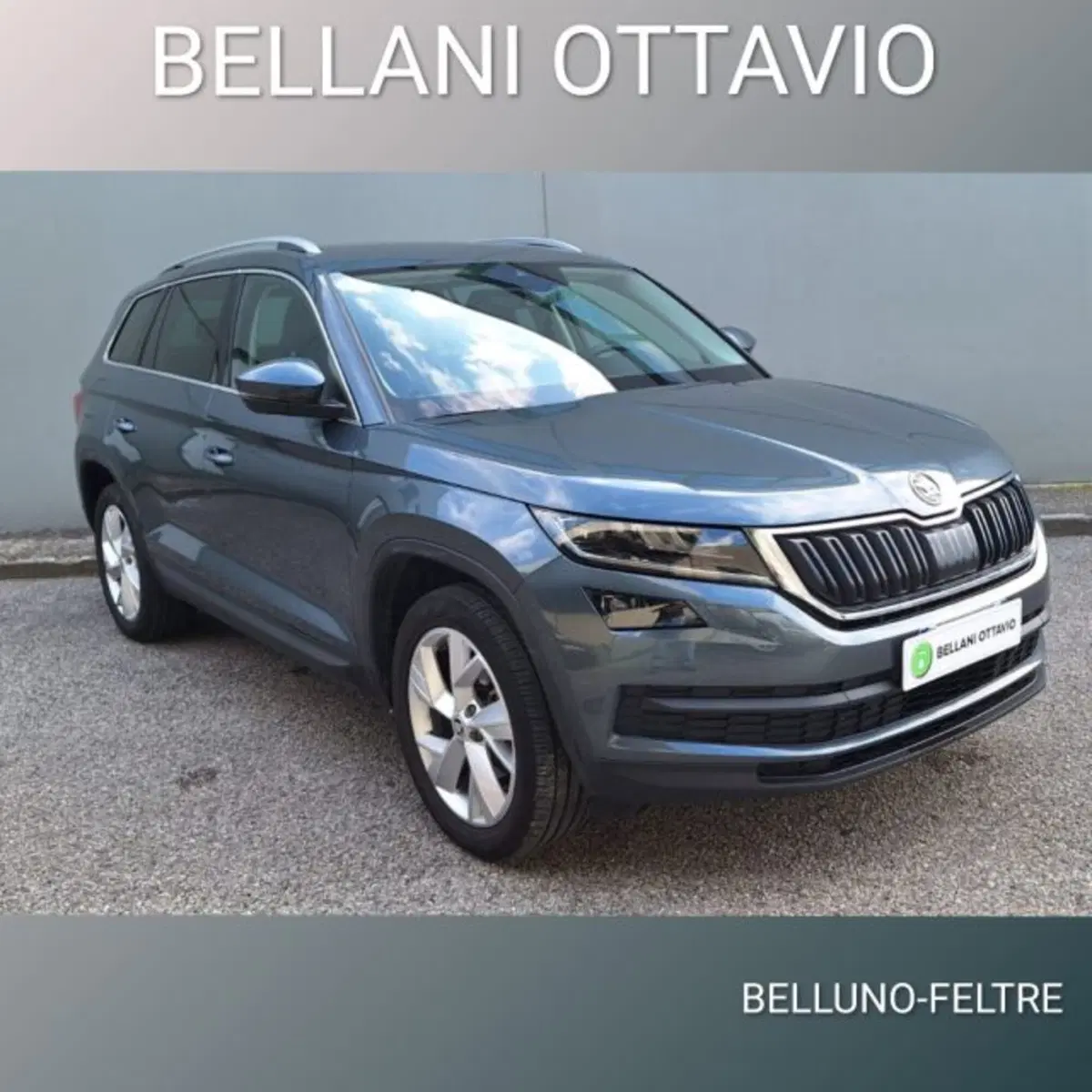Skoda Kodiaq usata a Belluno