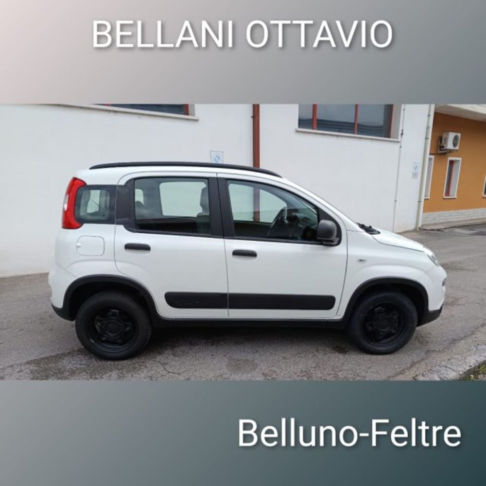 Fiat Panda usata a Belluno (2)