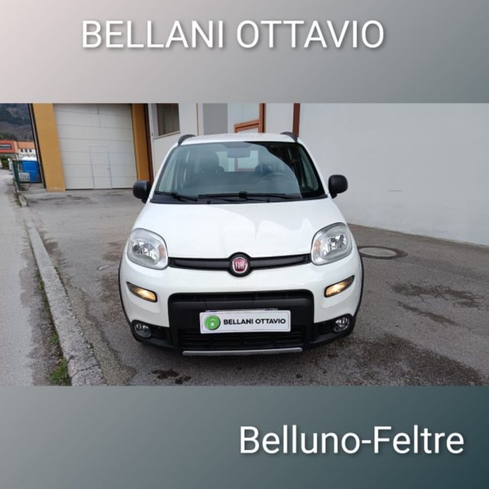 Fiat Panda usata a Belluno (3)