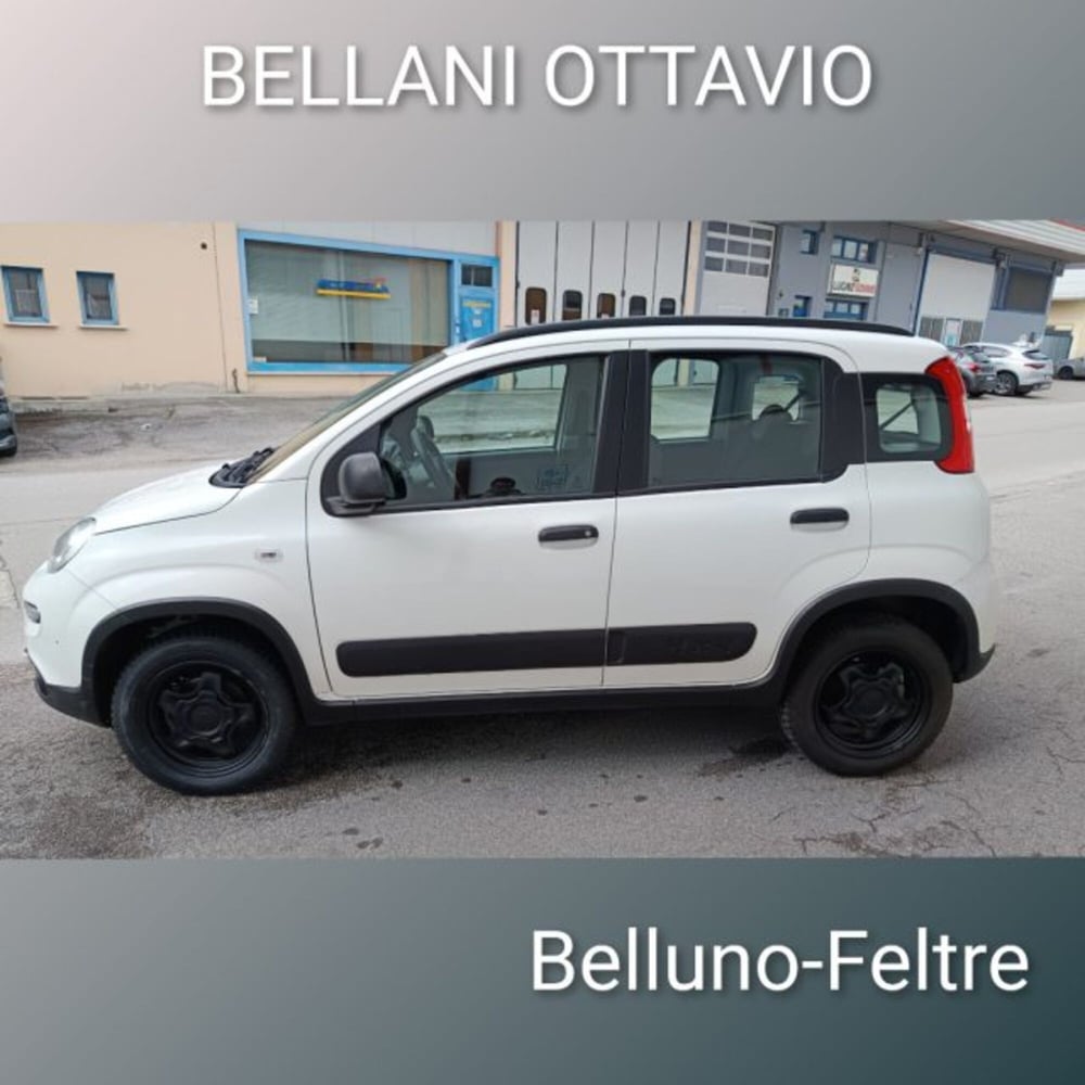 Fiat Panda usata a Belluno (7)