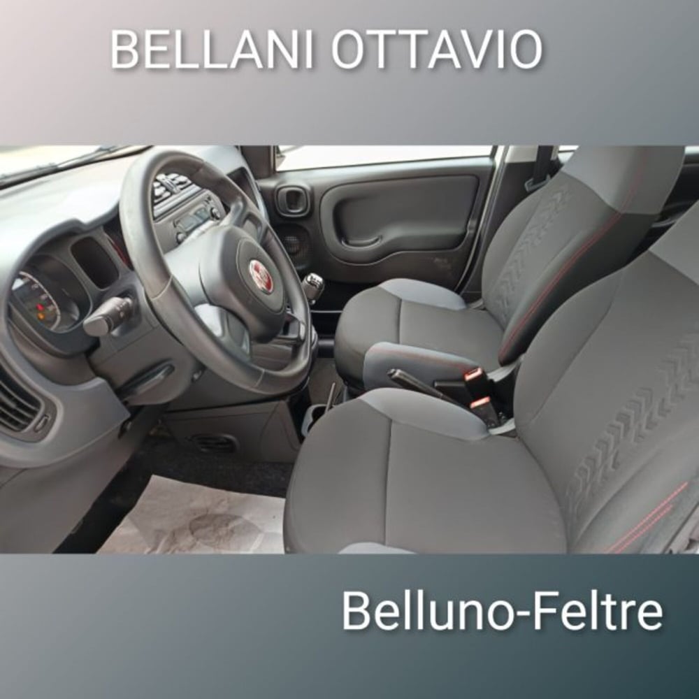 Fiat Panda usata a Belluno (9)
