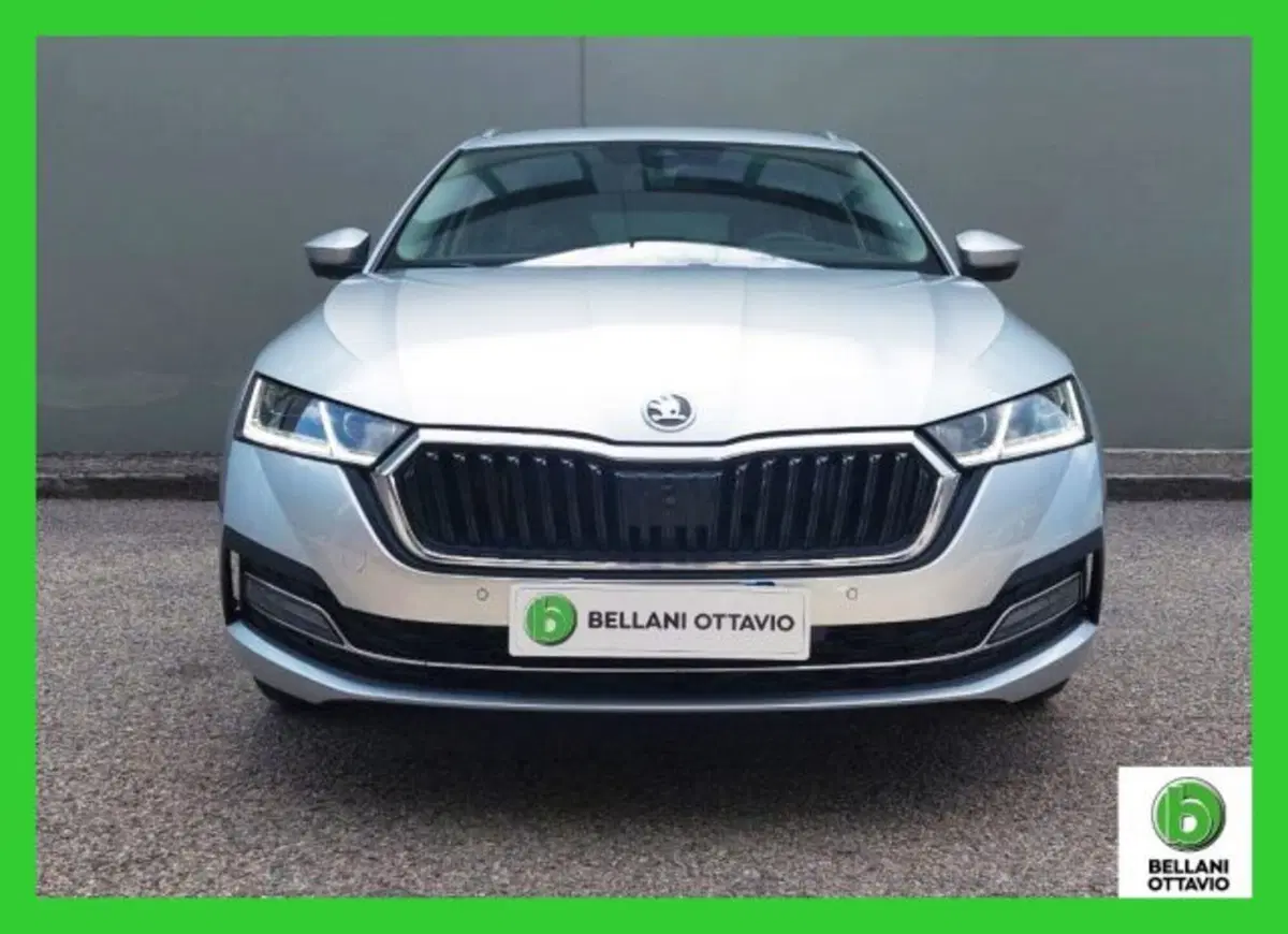 Skoda Octavia Station Wagon usata a Belluno (2)