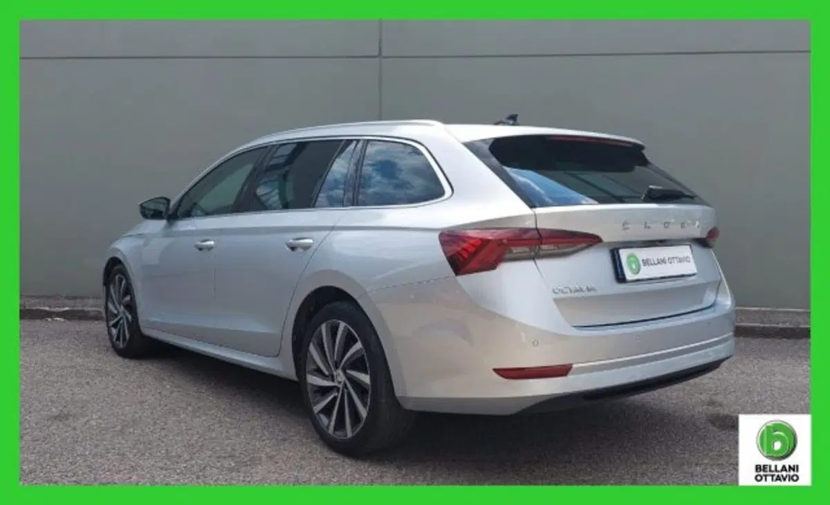 Skoda Octavia Station Wagon usata a Belluno (6)