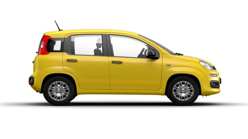Fiat Panda nuova a Bari (8)