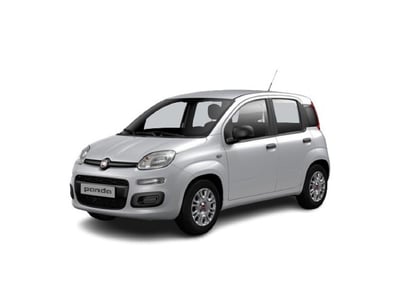 Fiat Panda 1.2 Lounge del 2019 usata a Bari