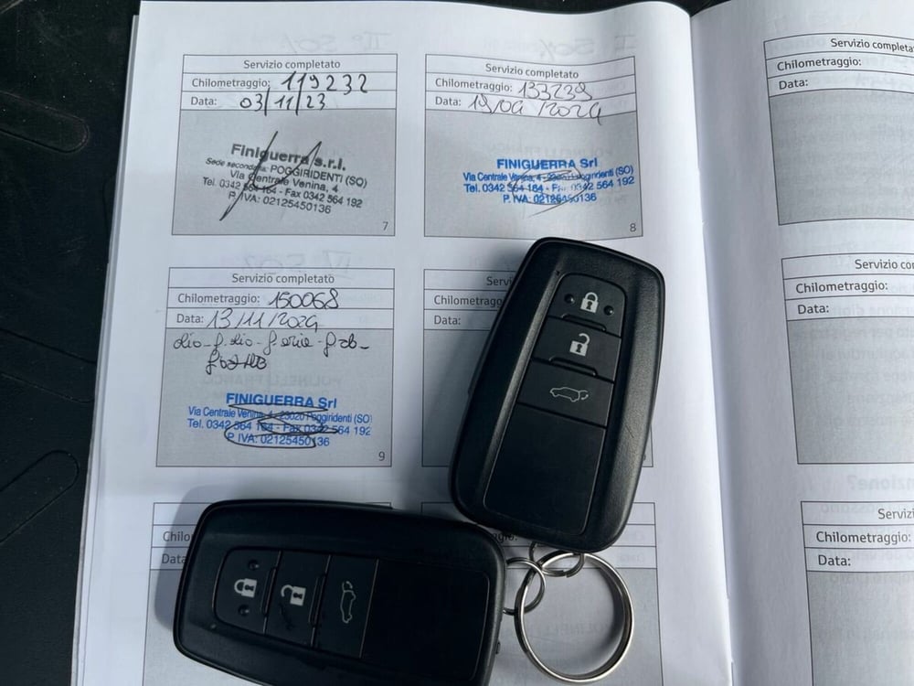Toyota Rav4 usata a Sondrio (18)