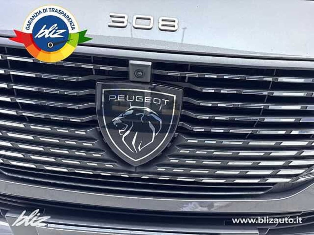 Peugeot 308 SW usata a Udine (13)