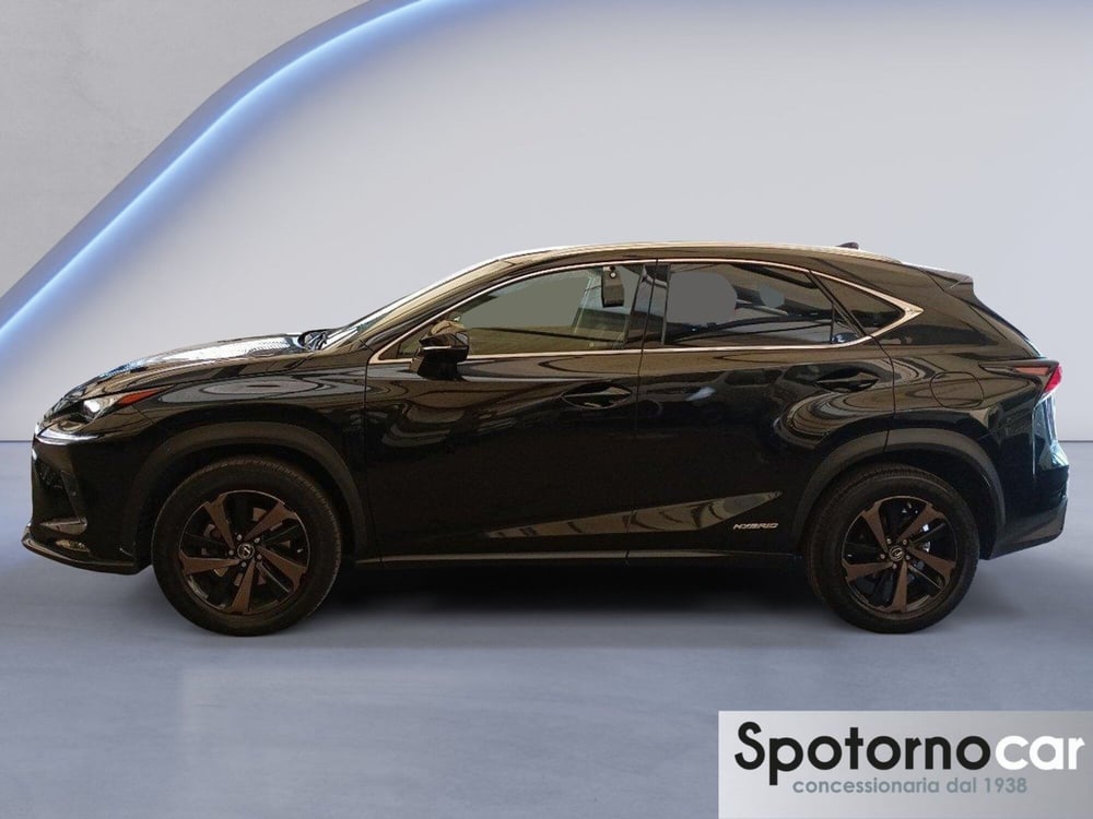 Lexus NX usata a Milano (3)