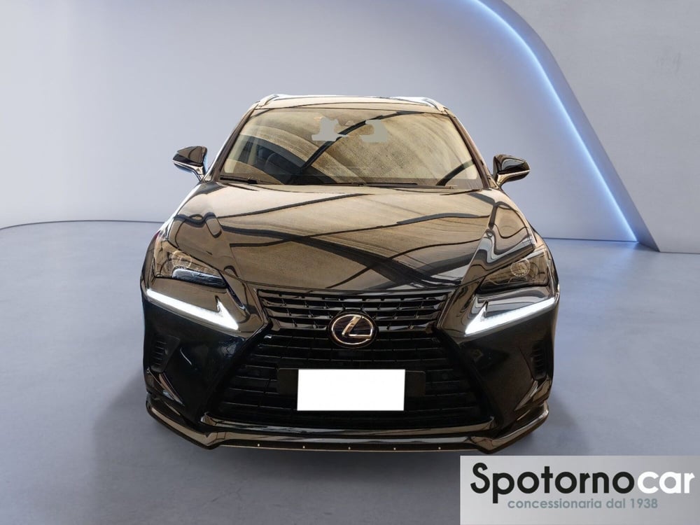 Lexus NX usata a Milano (5)