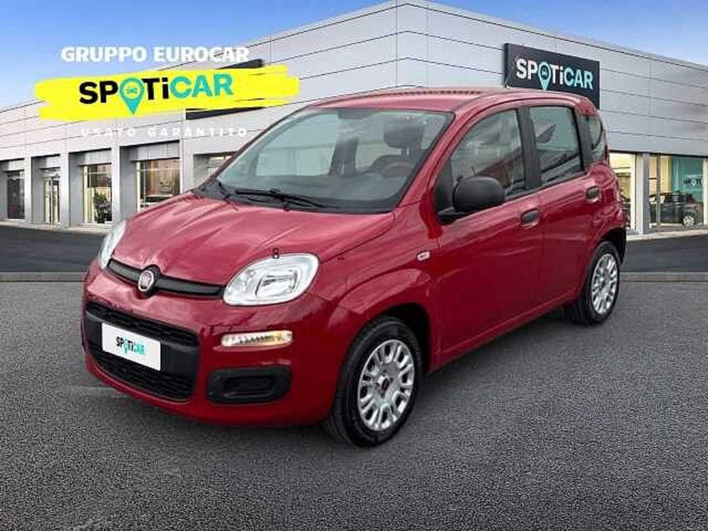 Fiat Panda usata a Roma