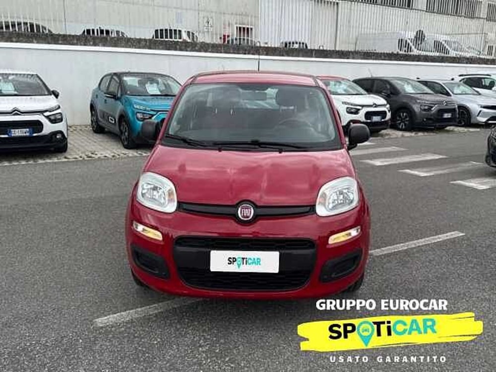 Fiat Panda usata a Roma (2)
