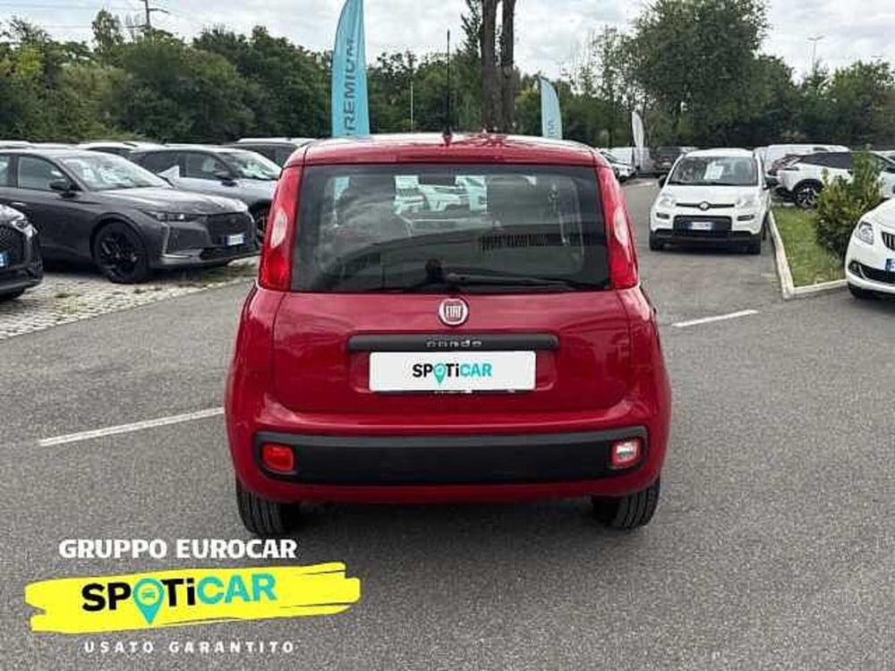 Fiat Panda usata a Roma (5)