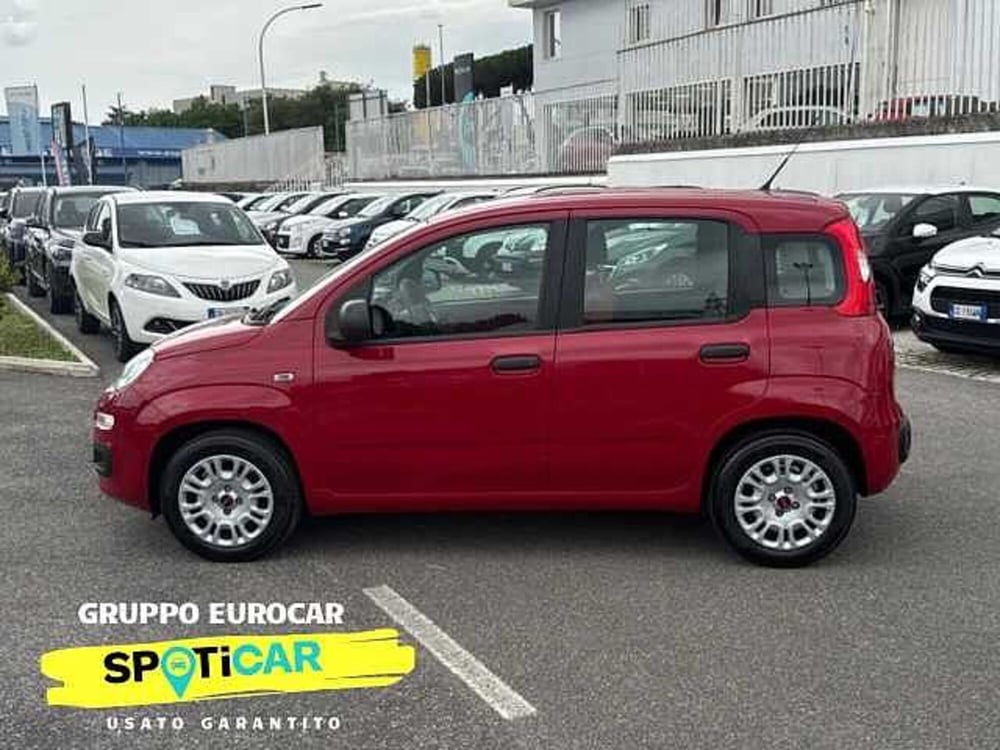 Fiat Panda usata a Roma (6)