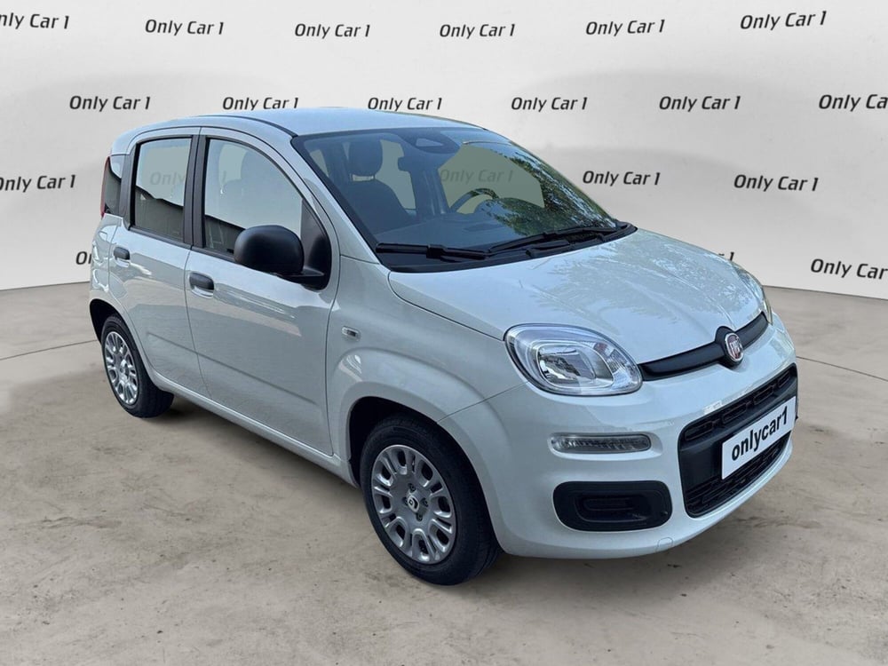Fiat Panda Cross nuova a Ferrara (4)
