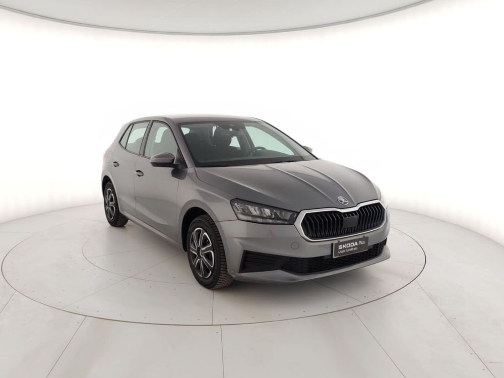 Skoda Fabia usata a Massa-Carrara (4)