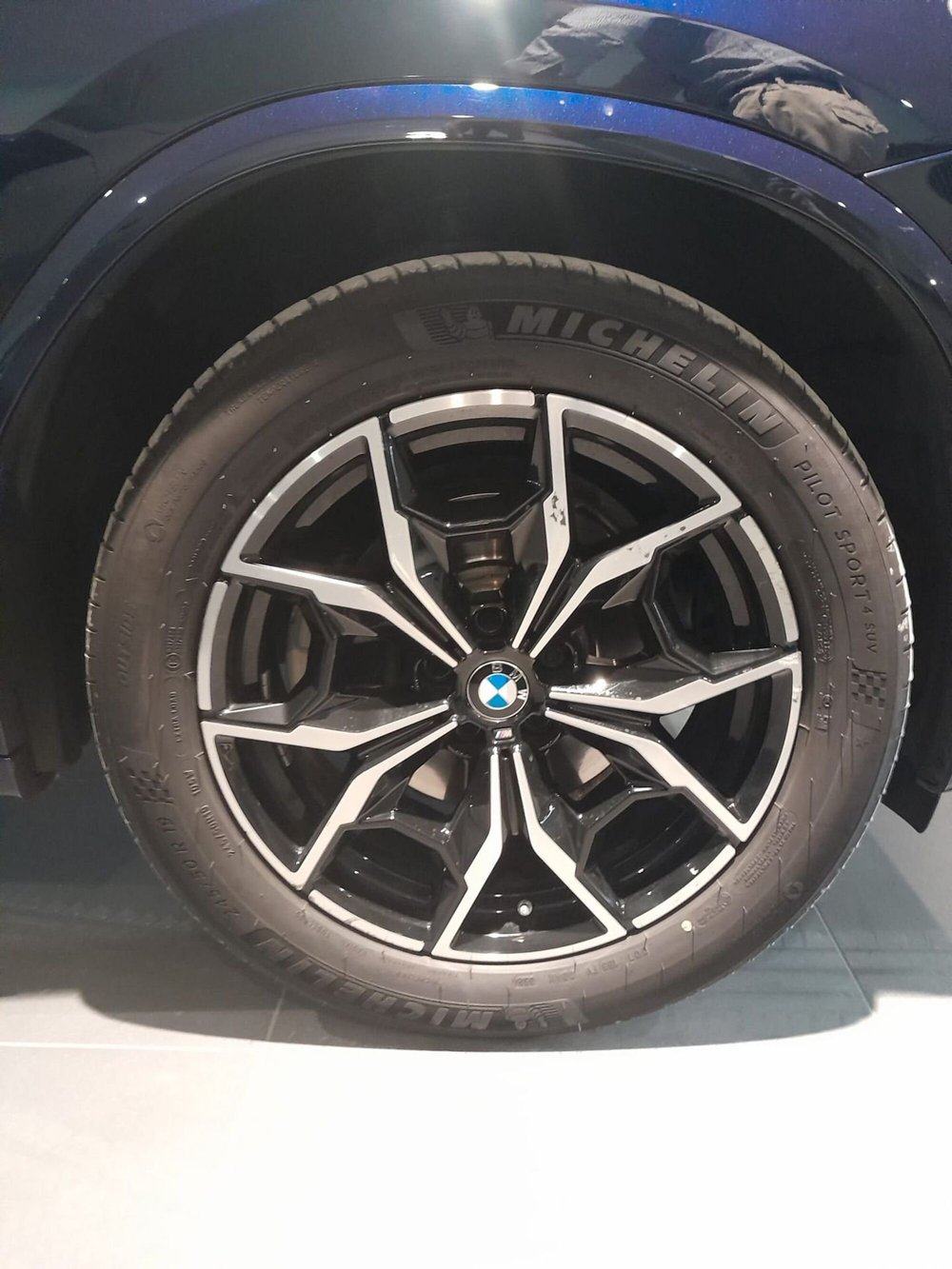 BMW X4 usata a Asti (20)