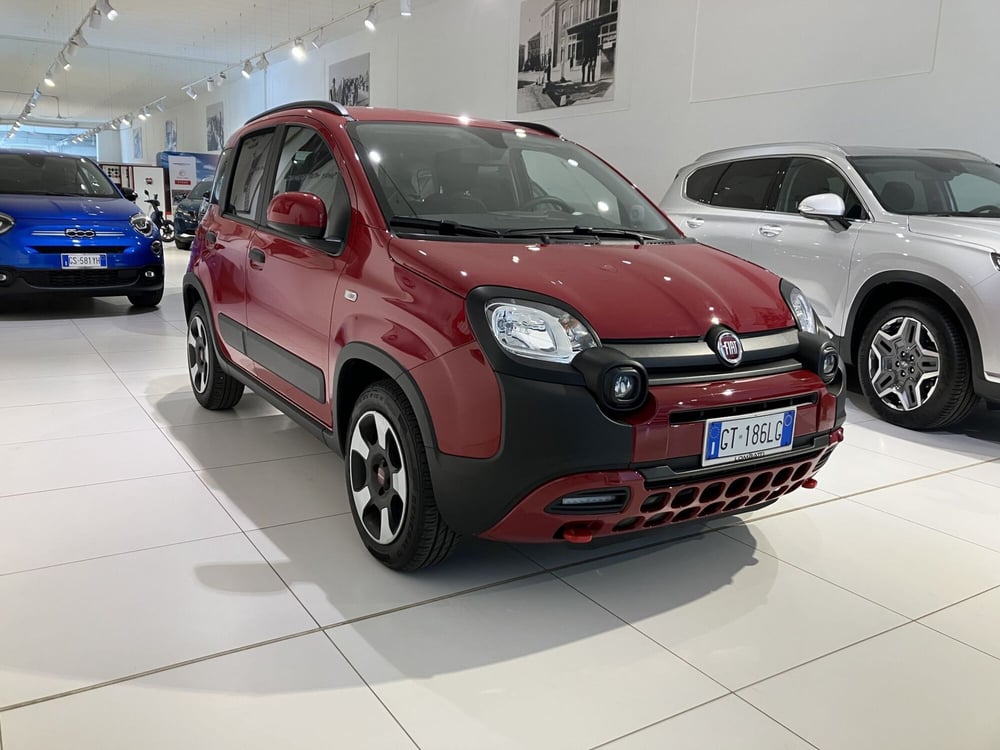 Fiat Panda Cross usata a Parma (2)