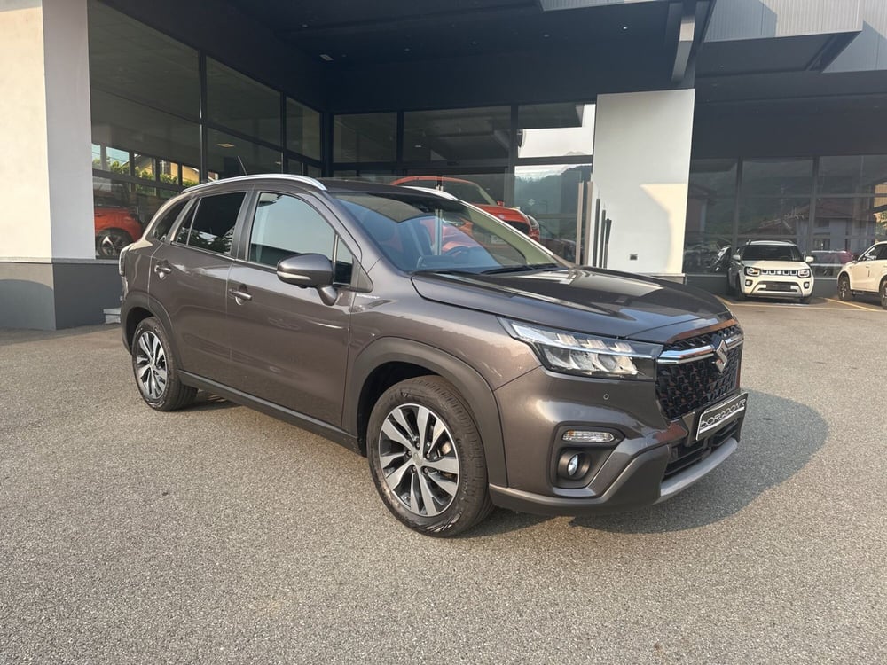 Suzuki S-Cross usata a Vercelli (9)