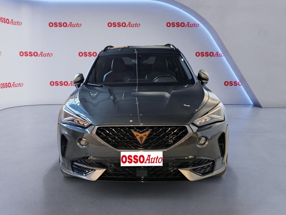 Cupra Formentor usata a Udine (5)
