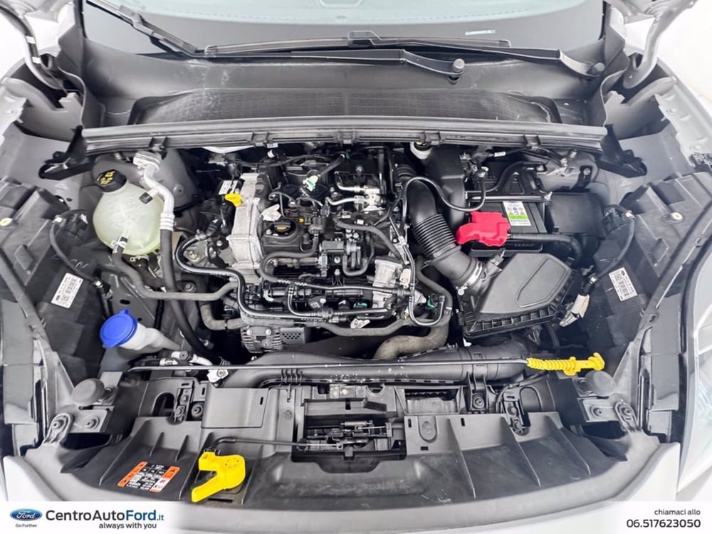 Ford Puma usata a Roma (13)