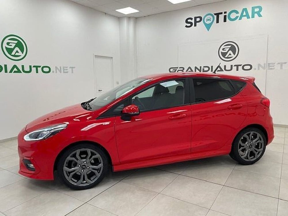 Ford Fiesta usata a Alessandria (2)