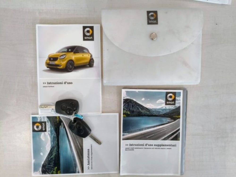 smart forfour usata a Firenze (15)
